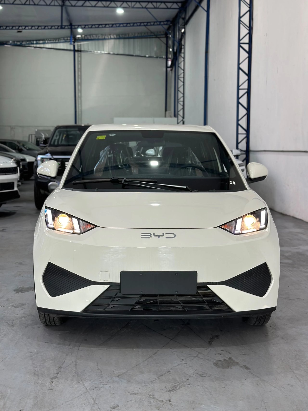 BYD Seagull — foto 2