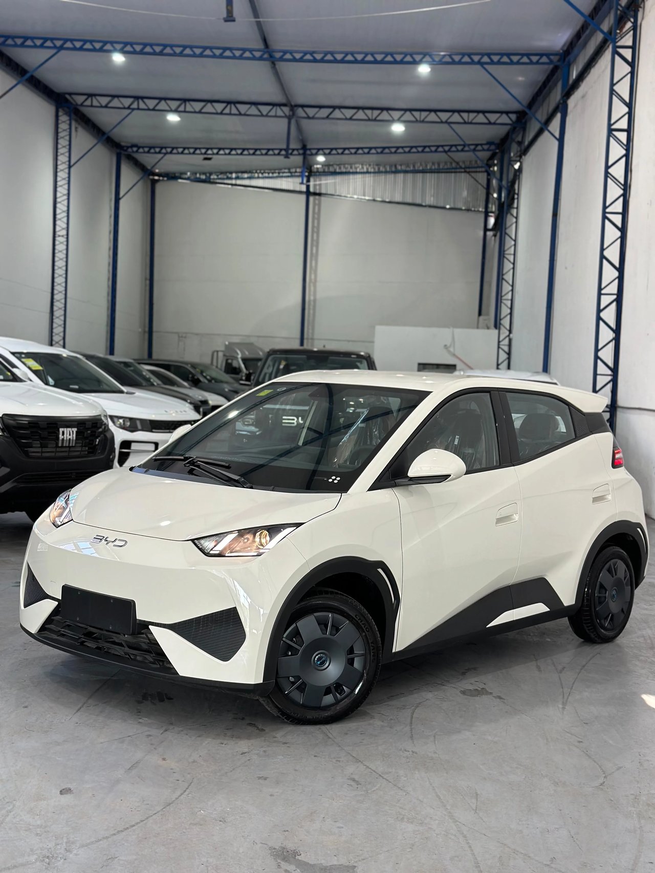 BYD Seagull — foto 3