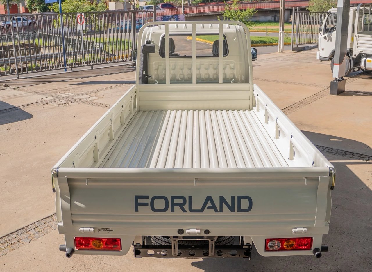 Changan FORLAND F200 — foto 7