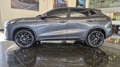 Miniatura 8