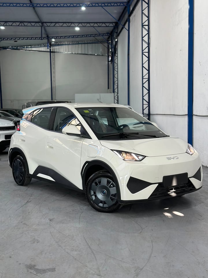 BYD Seagull